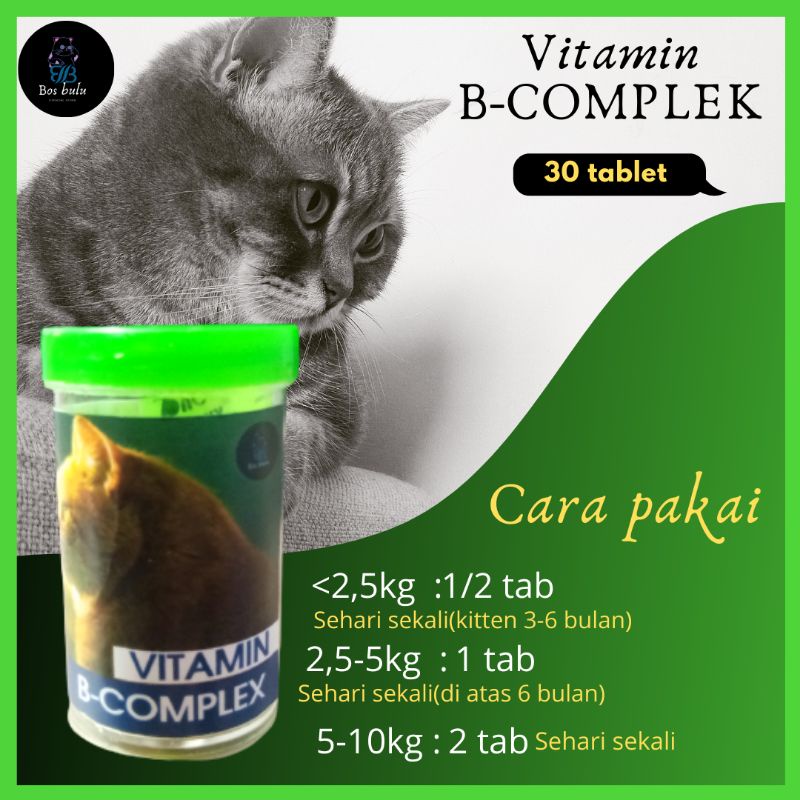 vitamin b complex untuk nafsu makan kesehatan kulit bulu daya tahan tubuh kucing 30 tablet