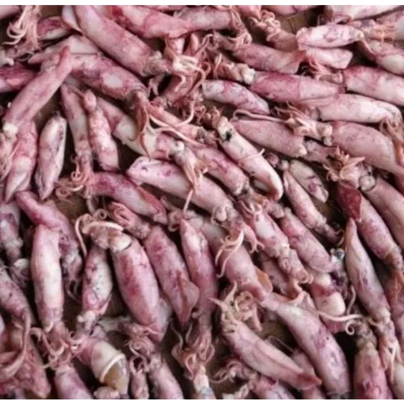 

beby cumi asin 250 gram