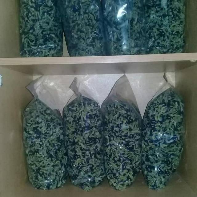 

MURAH!!Teh telang kering 500gr butterflyblue