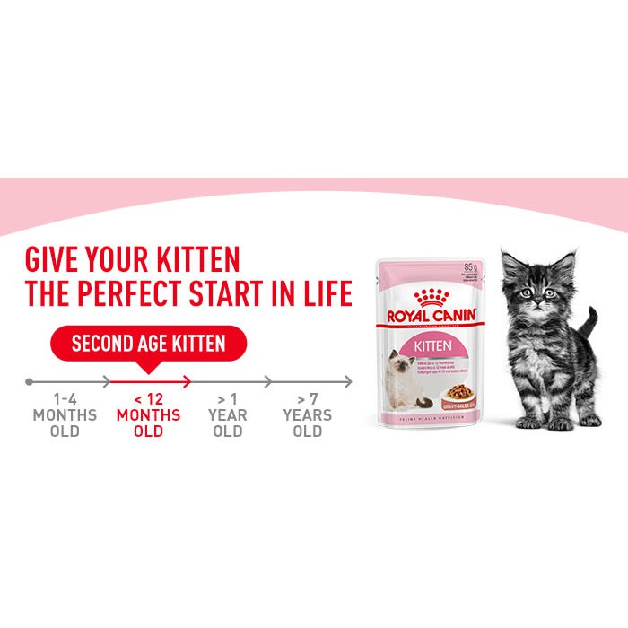 Royal Canin Kitten Gravy Wet Food 85gr RC Makanan Anak Kucing Basah