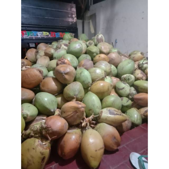 

Kelapa bulat sortiran