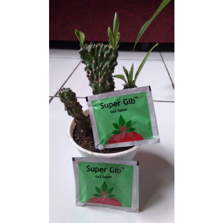 Hormon/Zat pengatur tumbuh Giberelin SUPER GIB Ga3 Tablet