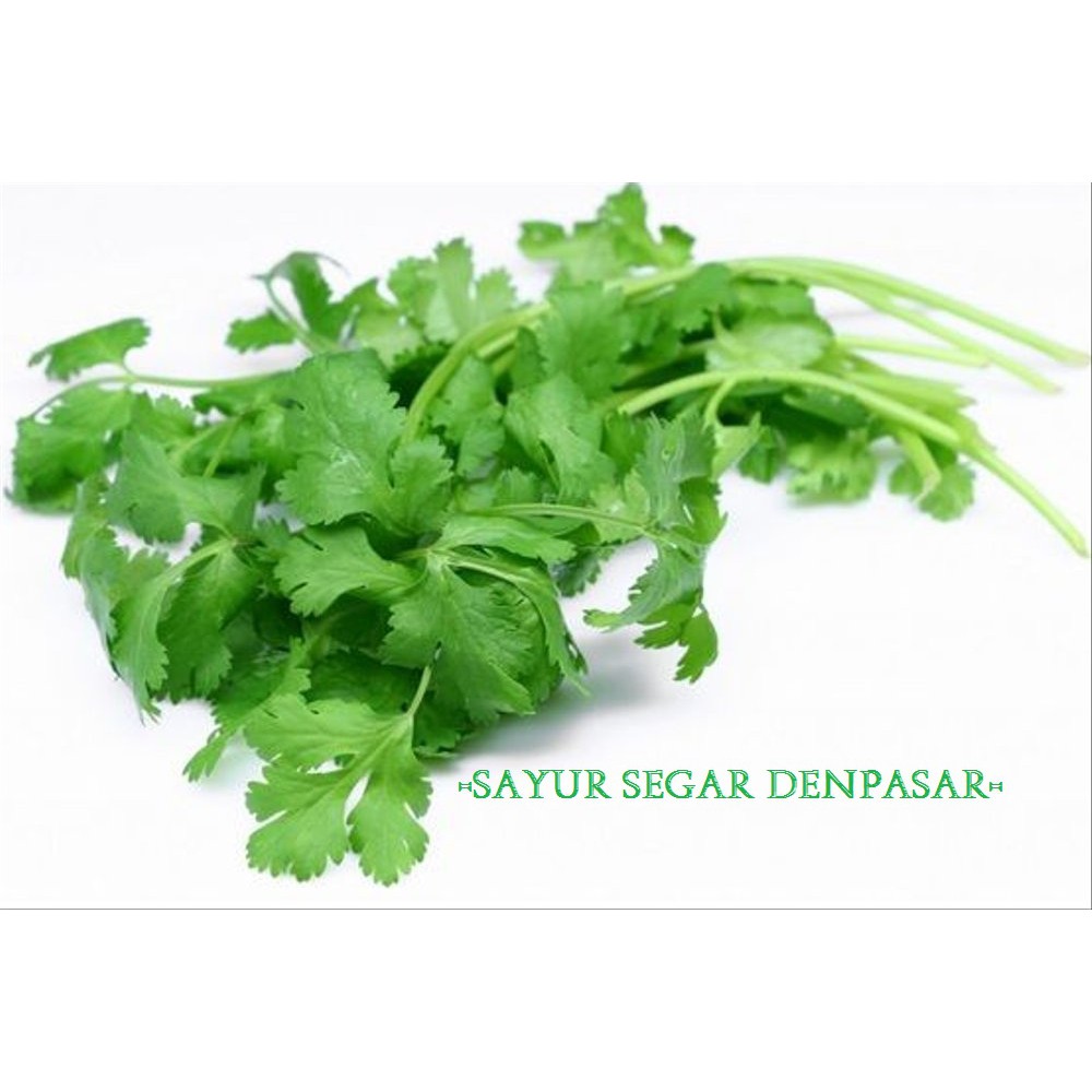 

CORIANDER/50gram