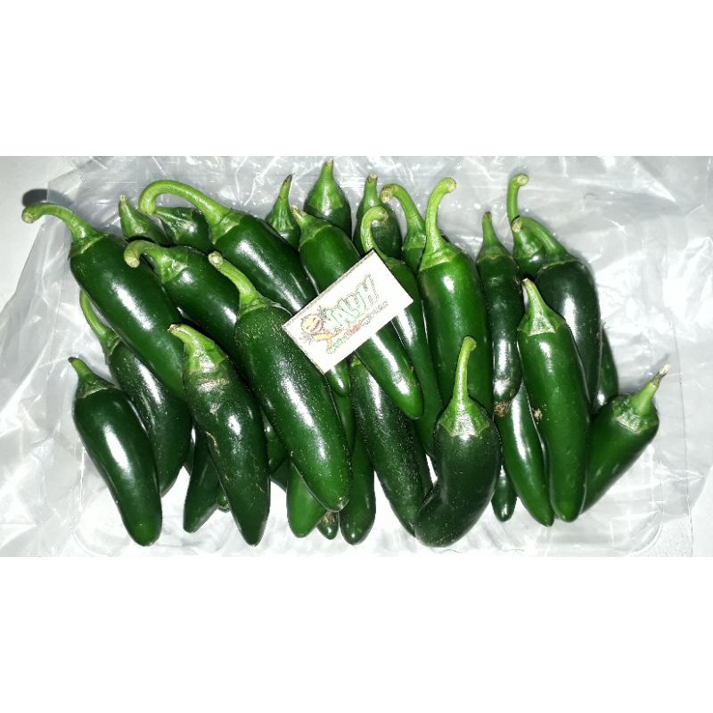 

CABAI JALAPENO / 250g