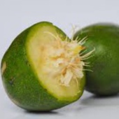 

Kedondong 1kg/ Buah Kedondong