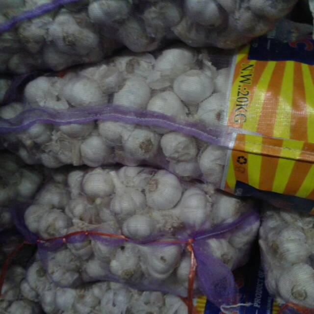 

Bawang Putih Biasa bukan kating