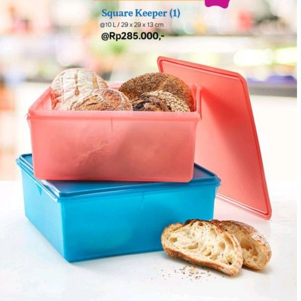 TEMPAT SERBAGUNA TUPPERWARE 10L