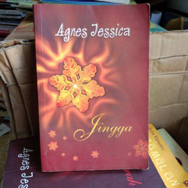 Novel Jingga Agnes Jessica