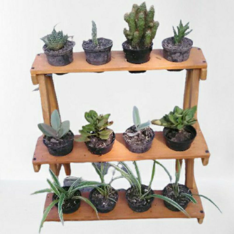 C31 RAK TANAMAN SUSUN MINI RAKITAN | RAK POT BUNGA SUSUN | DEKORASI RUANGAN