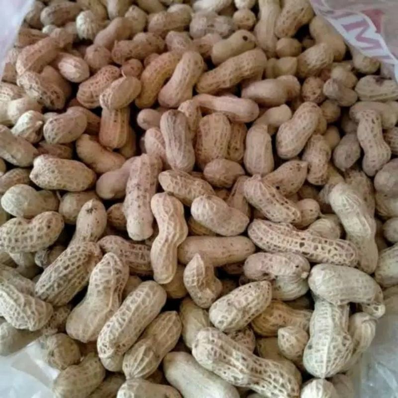 

KACANG KULIT RENYAH SBM 250 gram