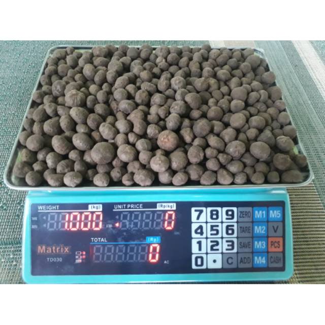 Katak porang mini hemat biaya isi banyak asli dorman ( isi 400-600 )1kg termurah buat grosir