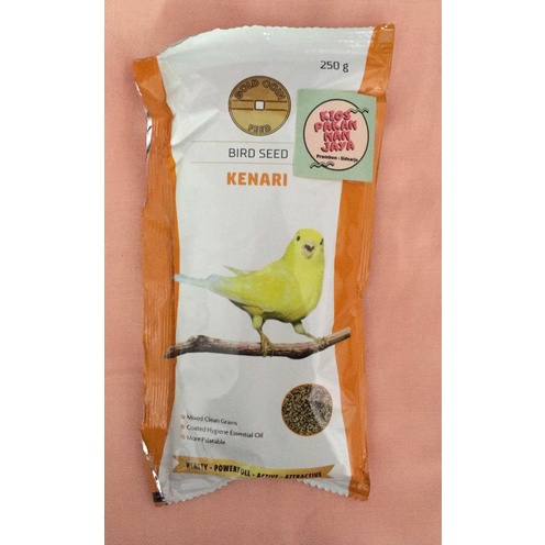 pakan kenari / gold coin kenari