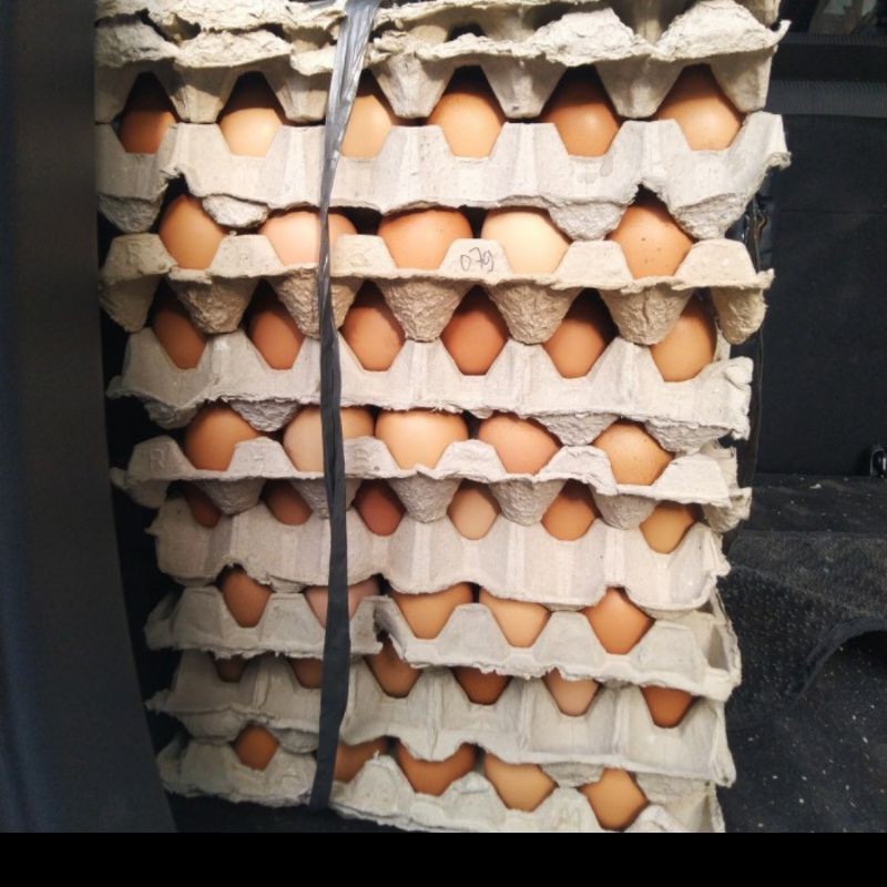 

DA Telur Ayam OMEGA 30 Butir Stock Baru