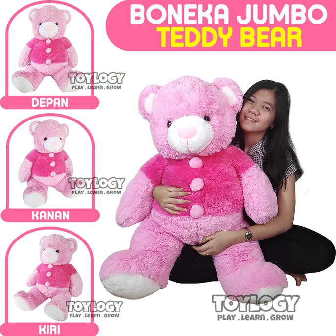 jumbo teddy