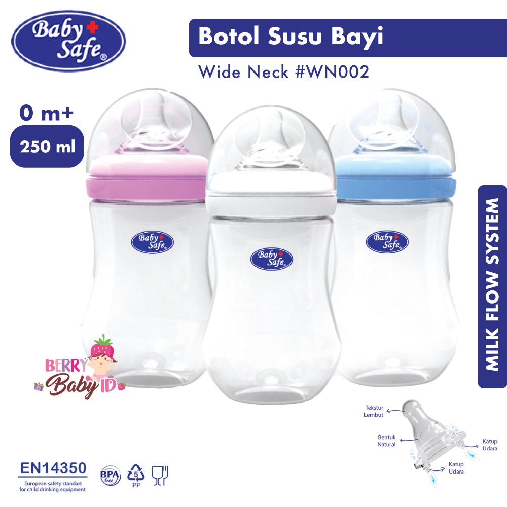 Baby Safe Botol Susu Bayi 250 Ml Wide Neck Baby Bottle WN002 BBS073 Berry Mart