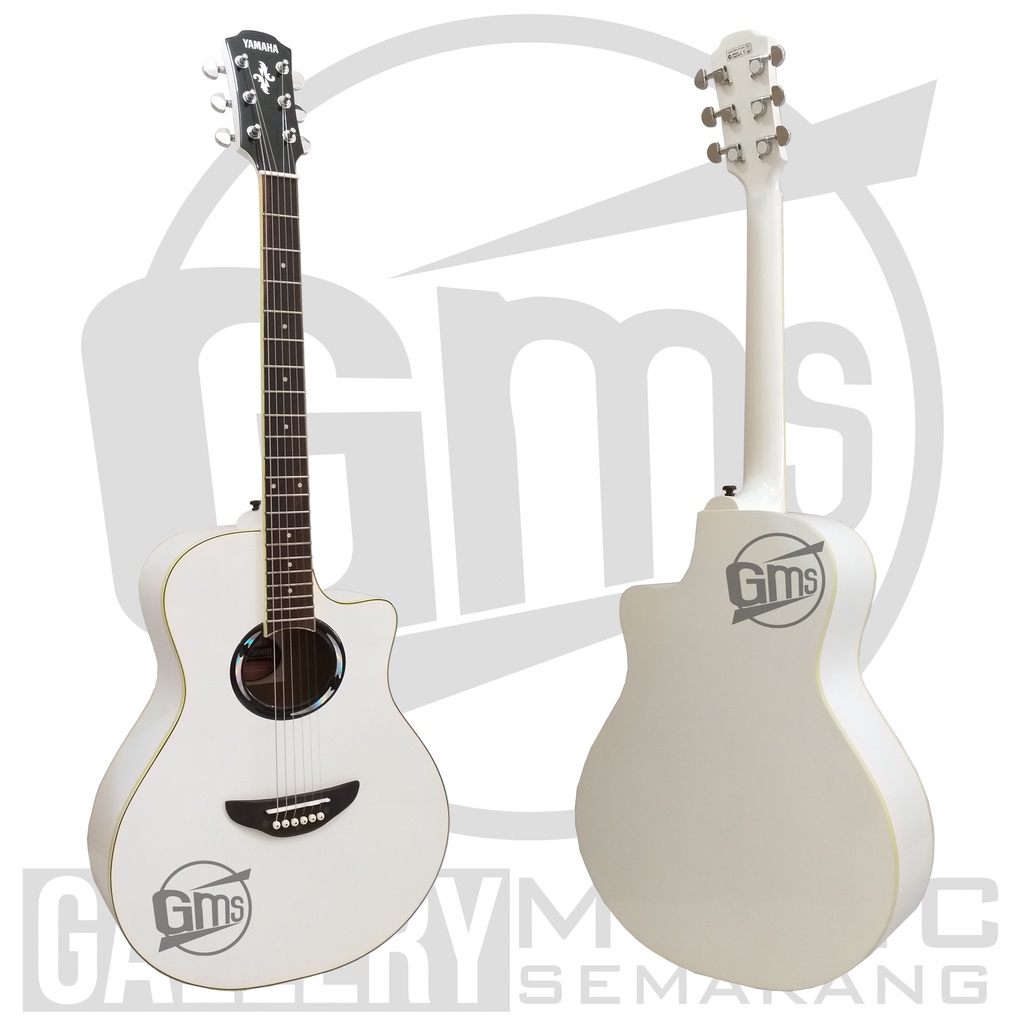 Gitar Akustik APX 500II Custom Paket Super Komplit Termurah Kualitas Terjamin