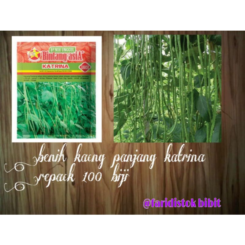 85 biji benih kacang panjang katrina  repack