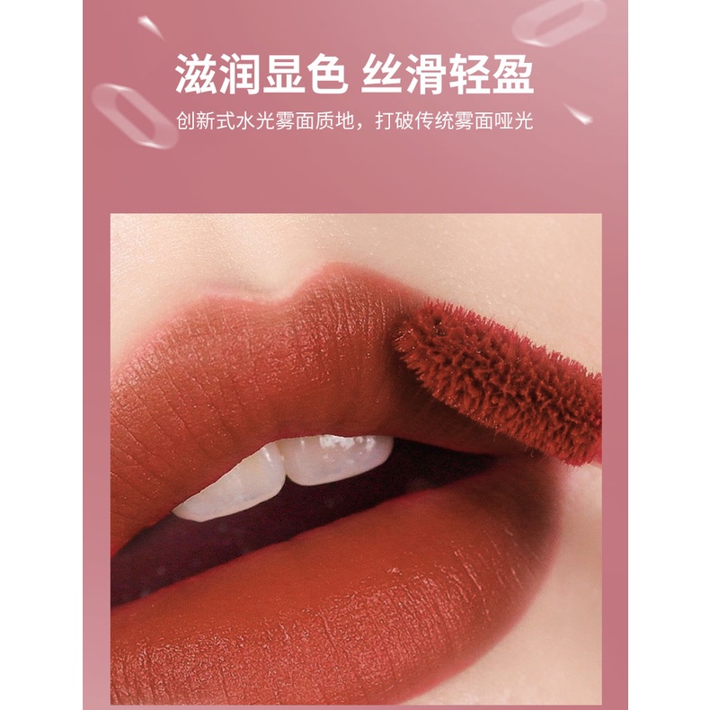 LAMEILA Lip Glaze matte lipstick anti air lipstick velpet lip gloss LS 1041