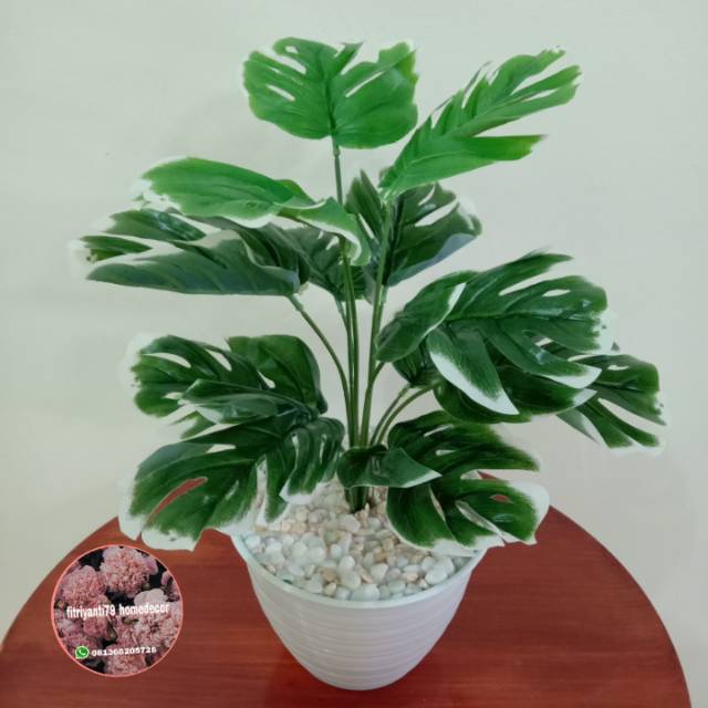 Monstera varigata artificial