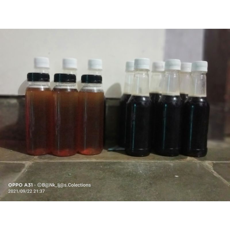 

Madu Klanceng Trigona Itama