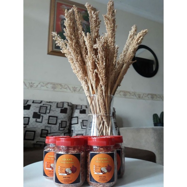 

TERASI BAWANG