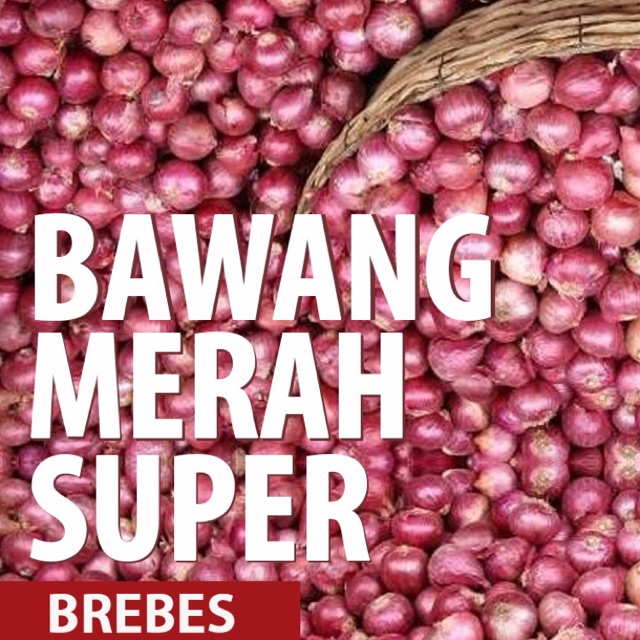 

Bawang merah super brebes, hanya bisa menggunakan pengiriman gojek/grab someday