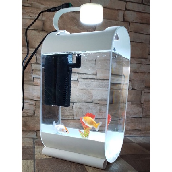 aquarium mini unik ikan cupang ikan hias Guppy neon glow fish bergaransi