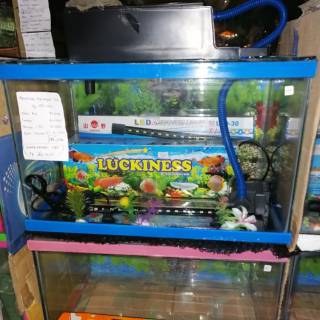 Unduh 600 Background Aquarium Warna Merah Terbaik