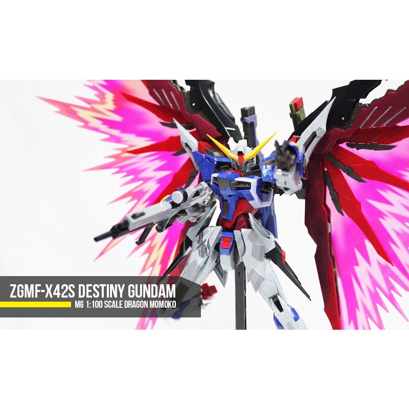 Dragon Momoko MG 1/100 Destiny Gundam MB. Ver