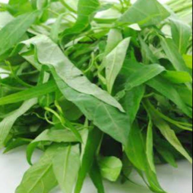 

Kangkung