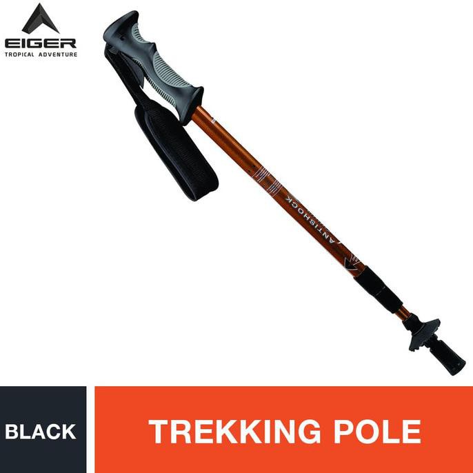 eiger trekking pole