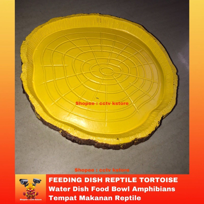 FEEDING DISH REPTILE TORTOISE - Water Dish Food Bowl Amphibians Tempat Minum Makan Hewan Reptile