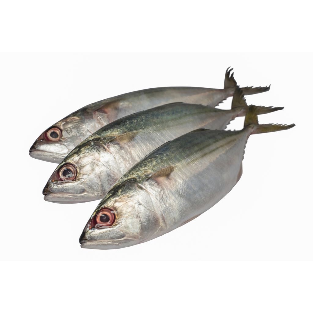

Ikan Kembung /500g