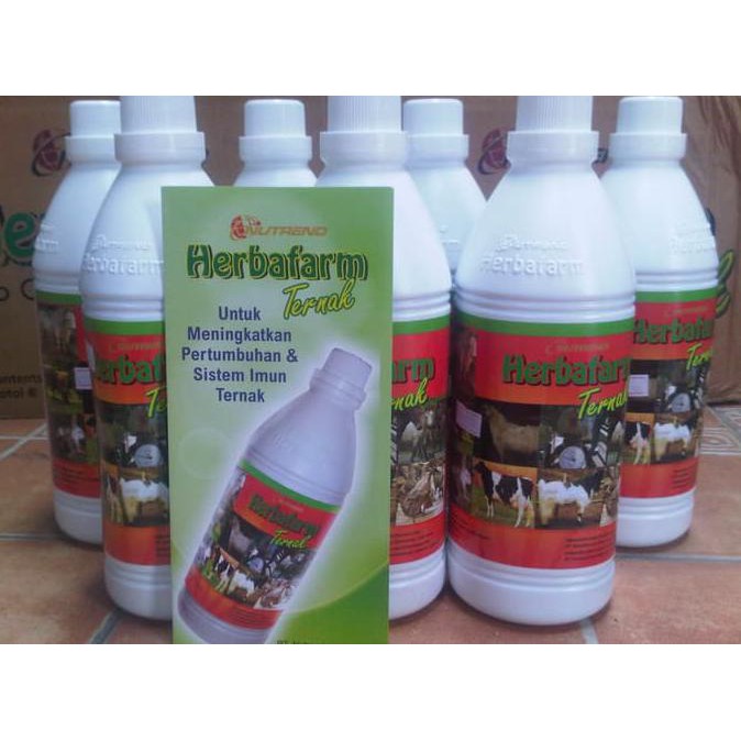 Herbafarm Ternak - meningkatkan pertumbuhan dan system imun ternak