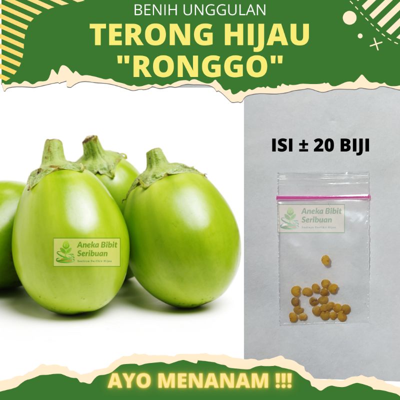 20 benih - Terong Hijau bulat &quot;Ronggo&quot;