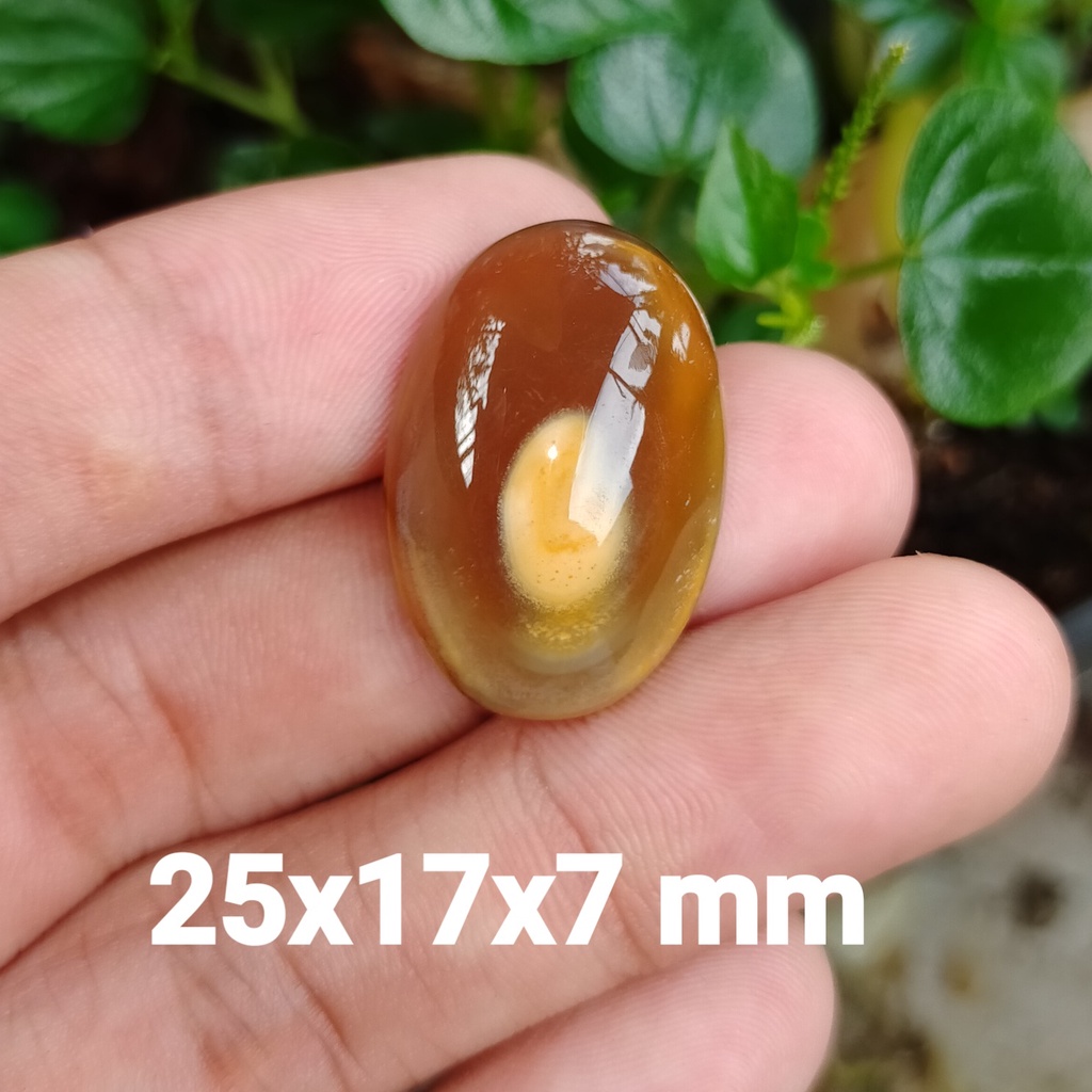 BATU AKIK MADU ANTIK ASLI ALAM koleksi lainnya opal giok zamrud cincin pria wulung
