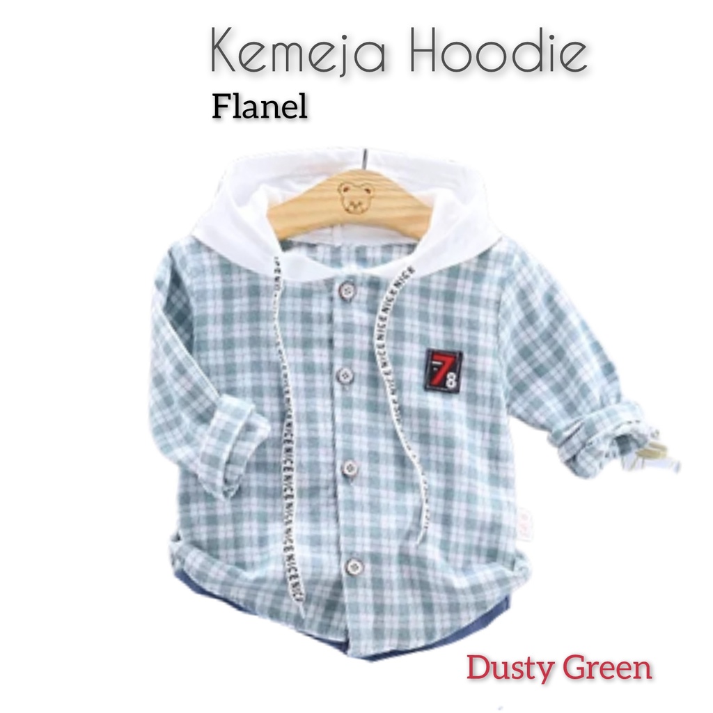 BAJU ANAK IMPORT - 914 - KEMEJA HOODIE ANAK LAKI LAKI