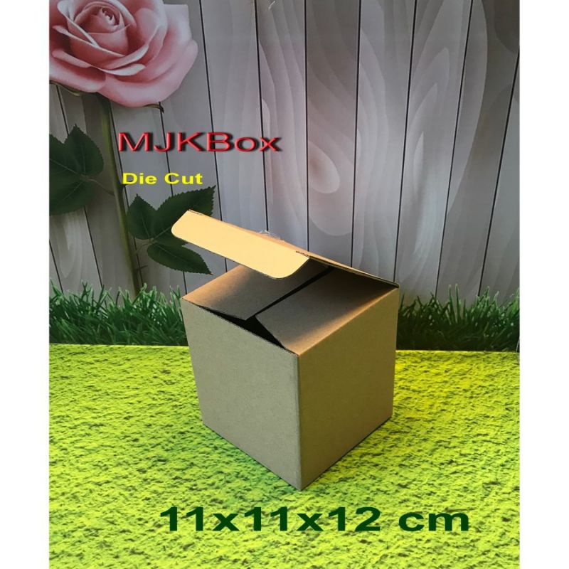 Box Karton Packing 11x11