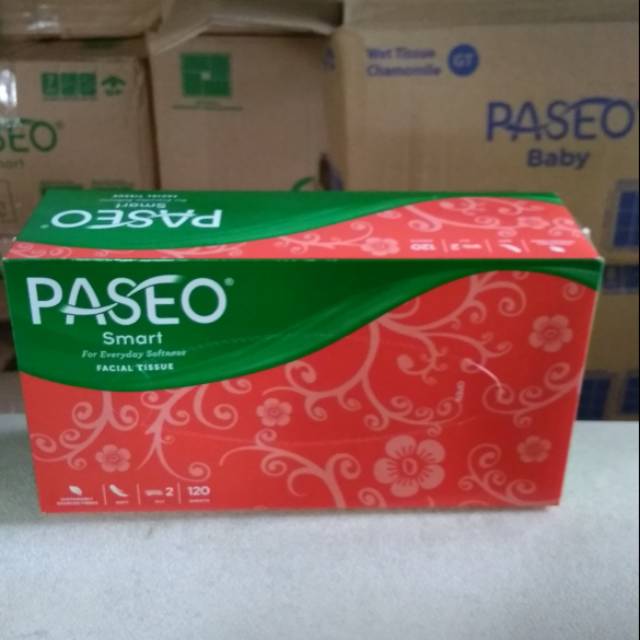 Tissue Paseo Smart Box 120 s