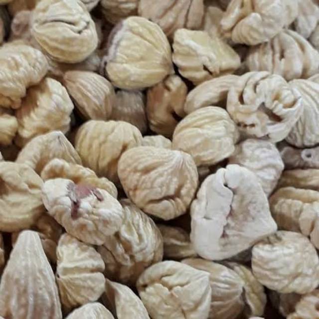 

Lak Ci / Lakci / Kacang Berangan 100g