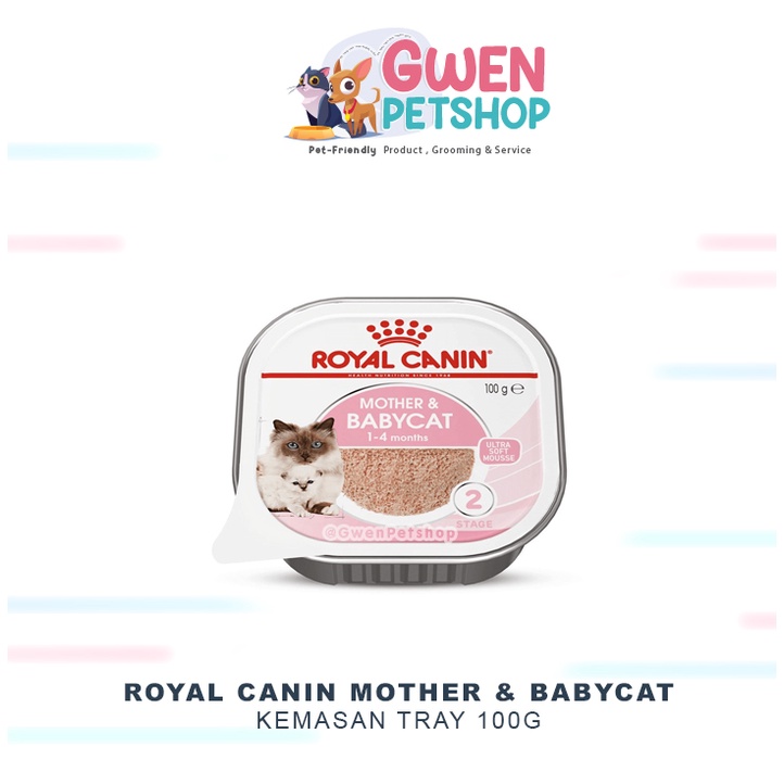 NEW ROYAL CANIN Mother Babycat Wet Food 100gr -- BABY CAT TRAY