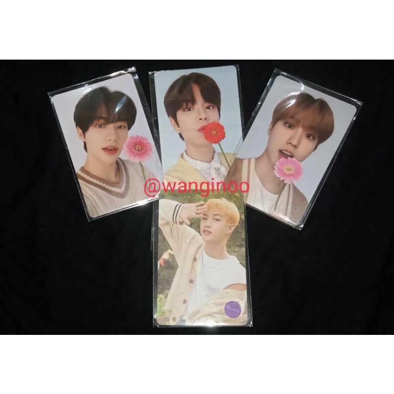 PC NACIFIC STRAY KIDS ROUND 10 HYUNJIN HAN JISUNG SEUNGMIN