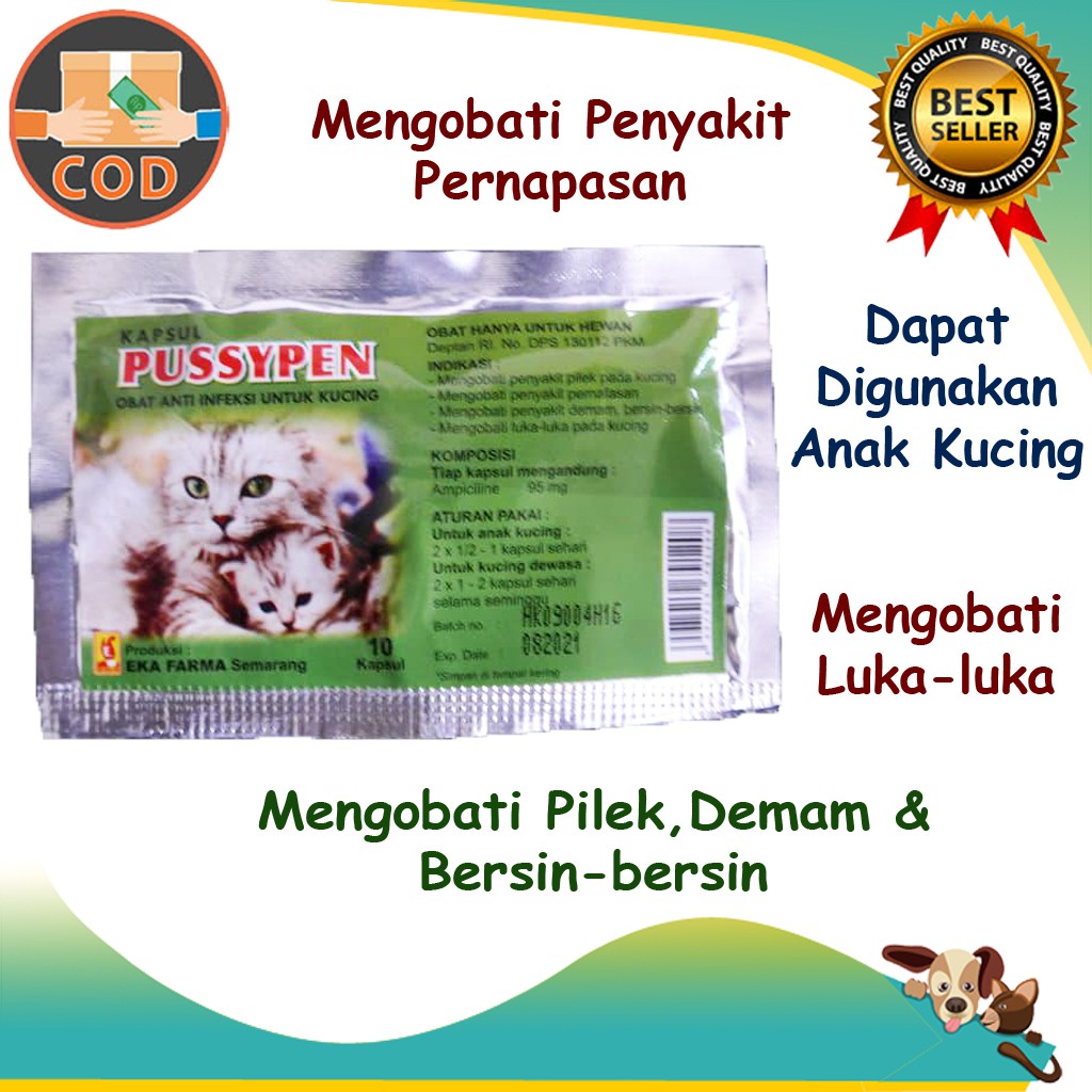 Obat Kucing Ekafarma Pussypen Anti Infeksi 10 Kapsul - Pilek Demam Flu bersin Luka Kucing Kitten D6