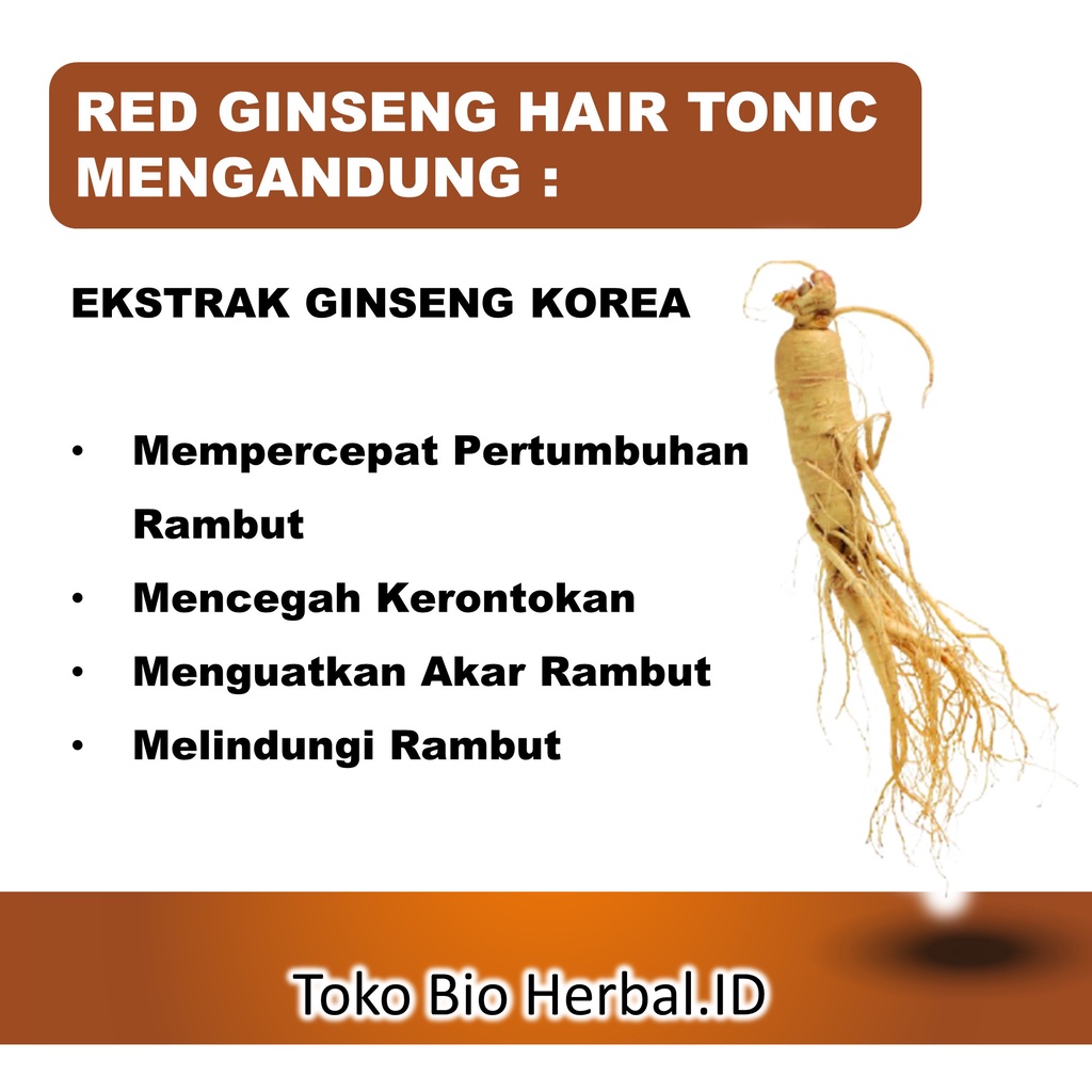 Hair Tonik Rambut Rontok Penyubur Rambut Rontok Red Ginseng Hair Tonic B5P