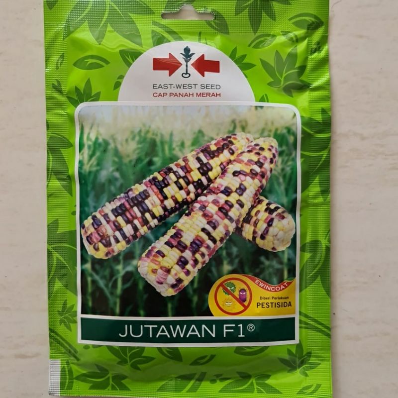 Bibit Jagung Manis Ketan JUTAWAN Isi 200 Biji. Benih Jagung Ketan. Bibit Jagung Panah Merah