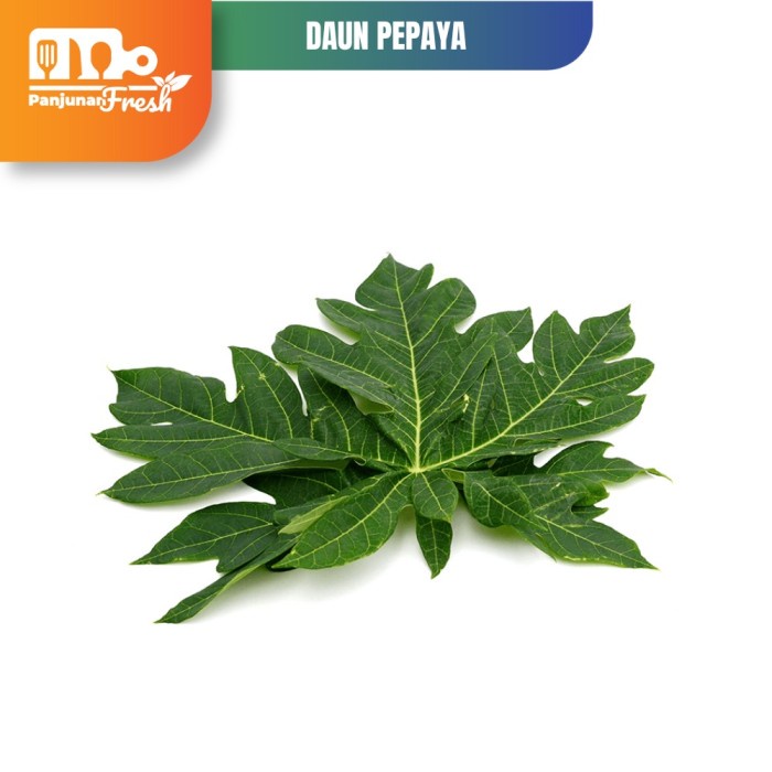 

SAYUR DAUN PEPAYA SEGAR 500 GRAM / DAUN PEPAYA JEPANG SAYURAN FRESH