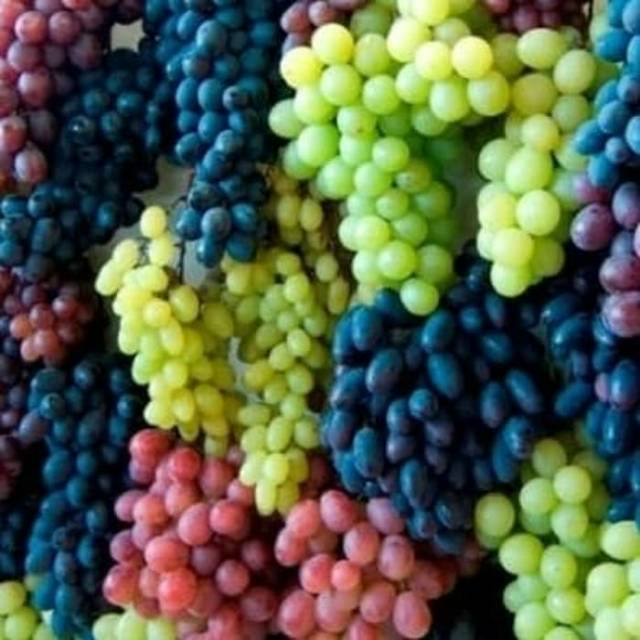 FRAGRANCE OIL ANGGUR BIBIT PARFUM