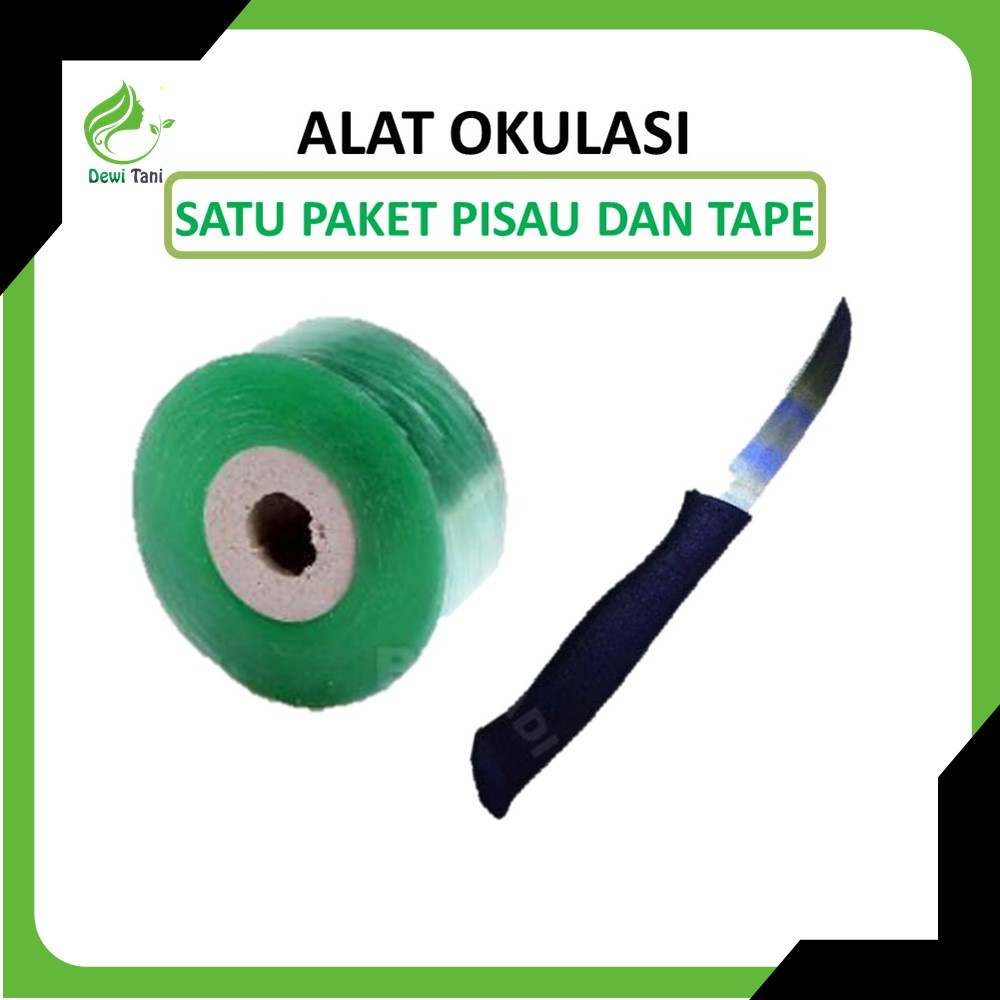 Pisau Okulasi Cangkok Sambung Pucuk / Grafting Tape