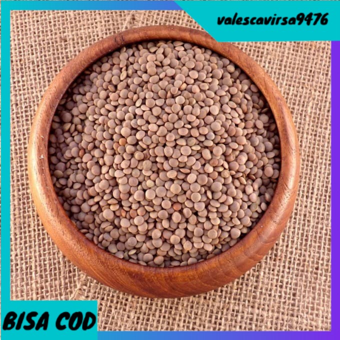 

⭐BISA COD⭐ Brown Lentil . Kacang Lentil Coklat 1 Kg