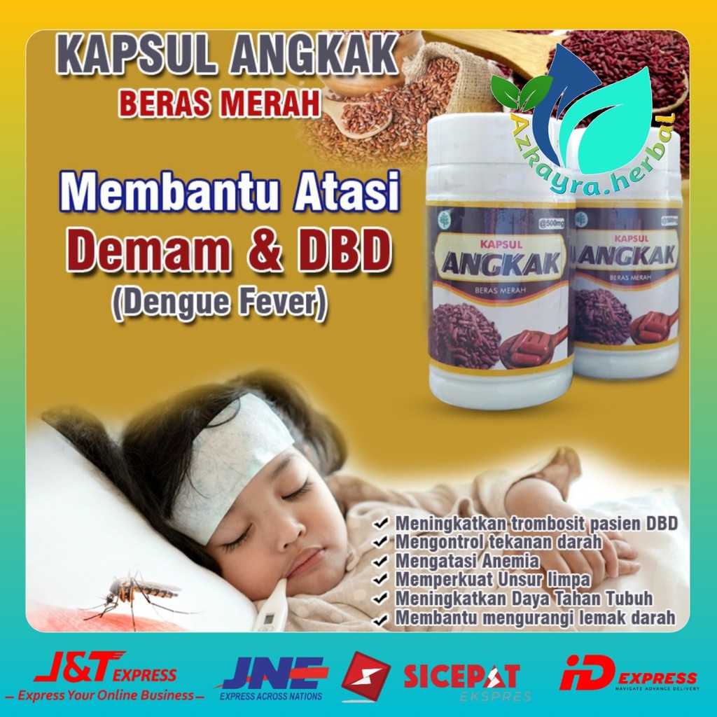 KAPSUL ANGKAK